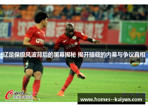 辽足保级风波背后的黑幕揭秘 揭开暗藏的内幕与争议真相