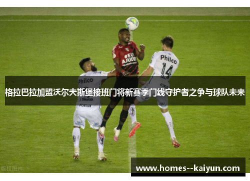 格拉巴拉加盟沃尔夫斯堡接班门将新赛季门线守护者之争与球队未来 格拉巴拉加盟沃尔夫斯堡接班门将新赛季门线守护者之争与球队未来