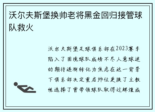 沃尔夫斯堡换帅老将黑金回归接管球队救火